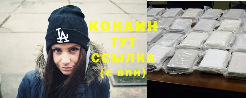 Cocaine FishScale  купить наркоту  ОМГ ОМГ ССЫЛКА  Артёмовский 